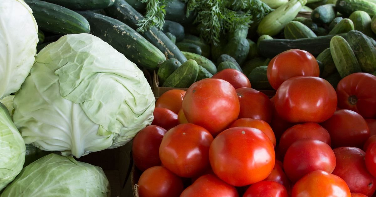 Agriculture & Agri-Trade businesses in Pakistan